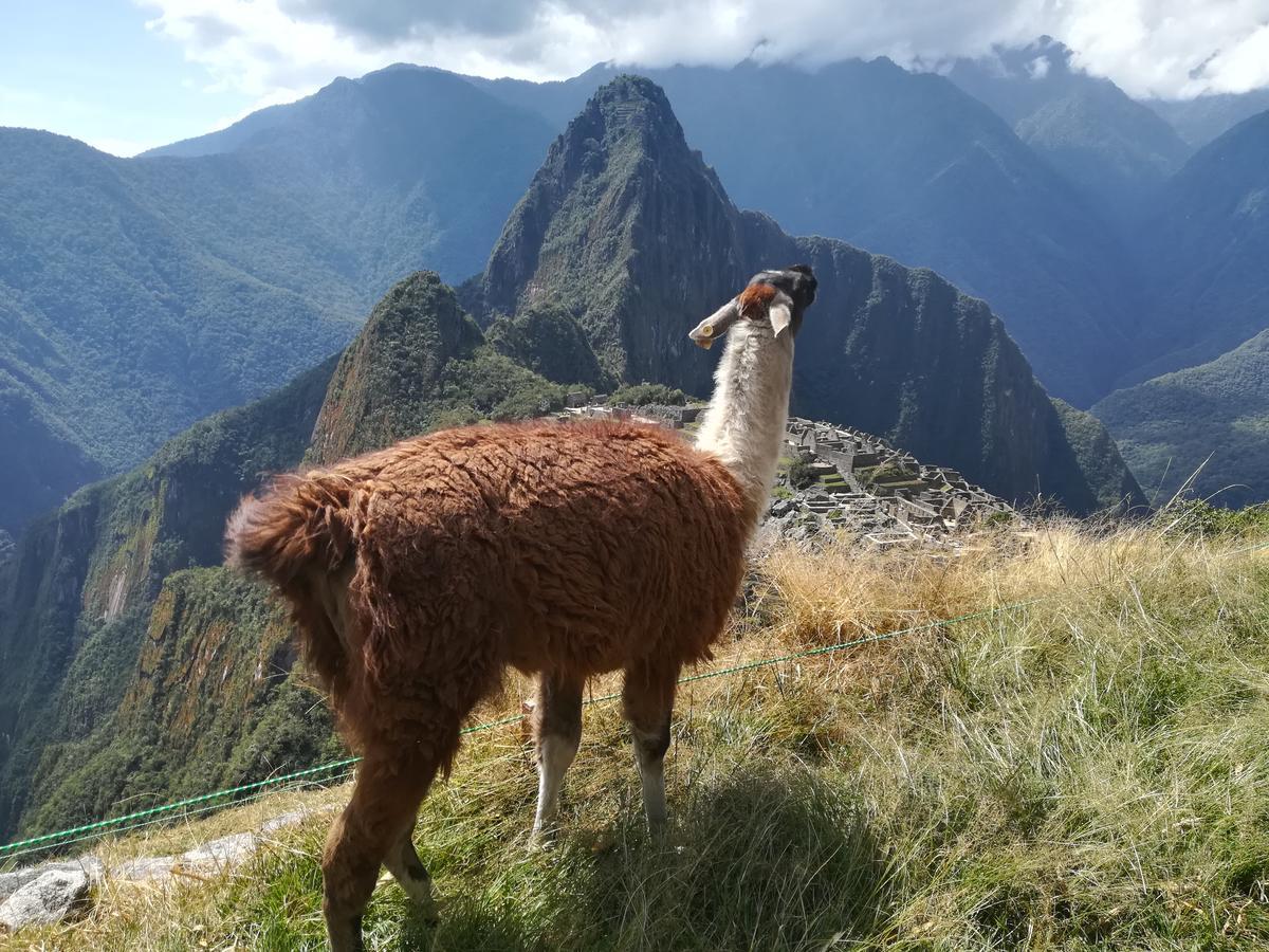 Golden Sunrise Machupicchu Hotel Exterior foto